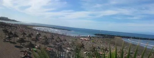 Dream View