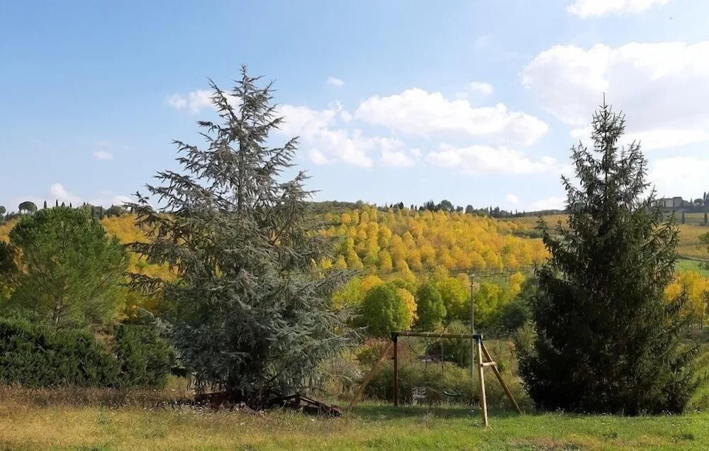 Agriturismo Casa Alla Madonna
