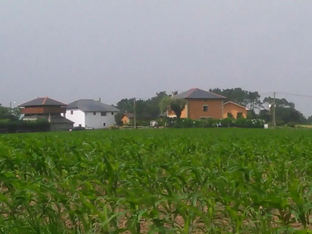 Las Golondrinas