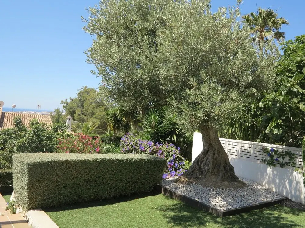 La Villa con Vista