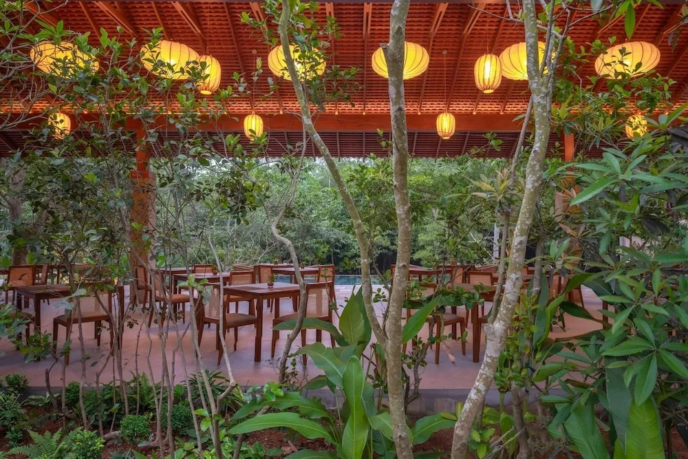 Cascara Weligama