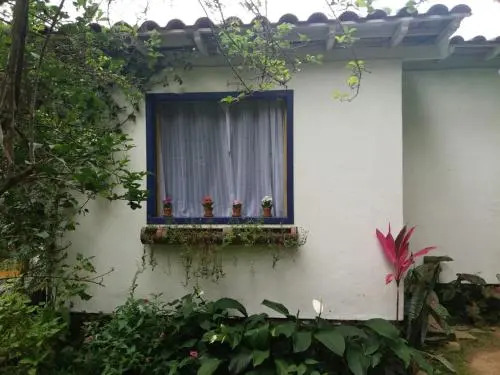 Ciranda De Flores