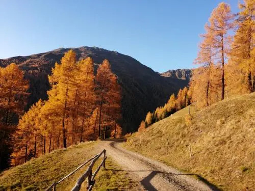 Almhütte Senfter