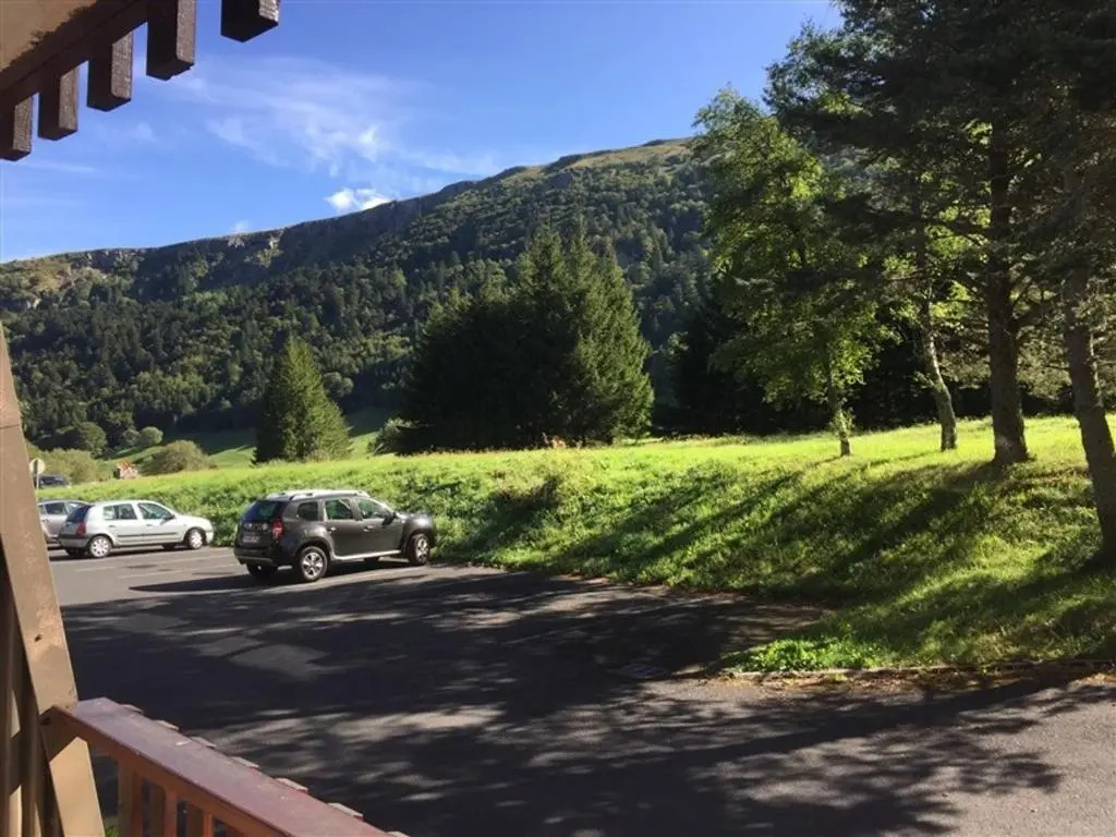 Appartement Mont-Dore, 2 pièces, 6 personnes - FR-1-415-62