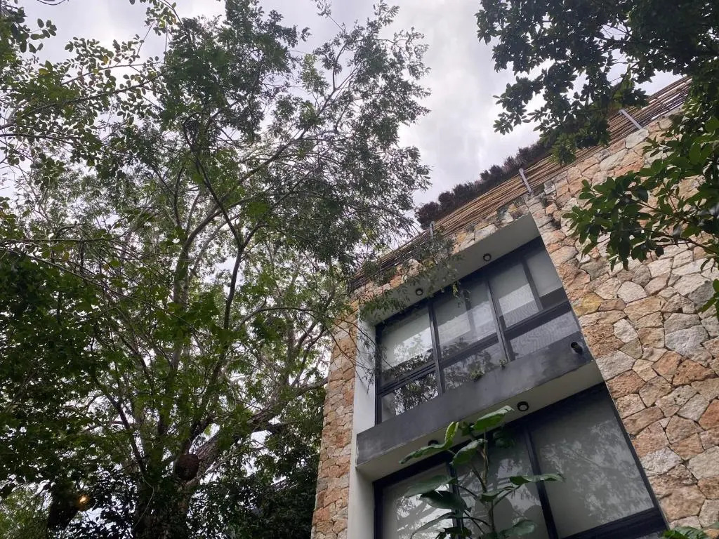 La Casa de María 11:11