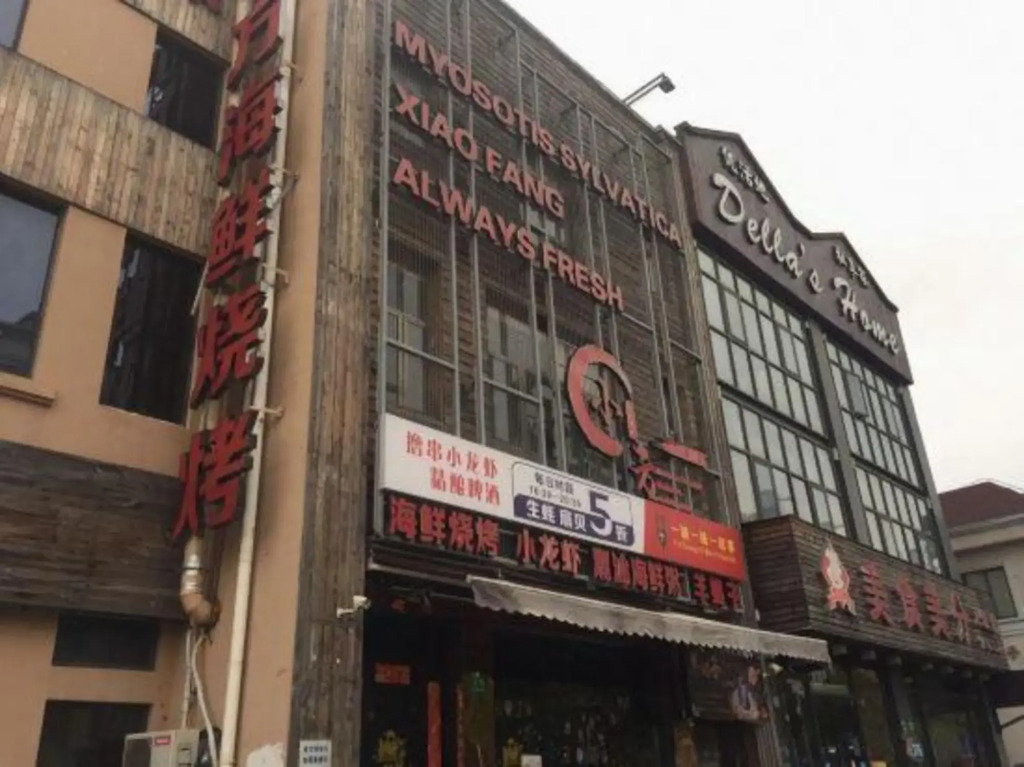 shanghai haiyan hotel