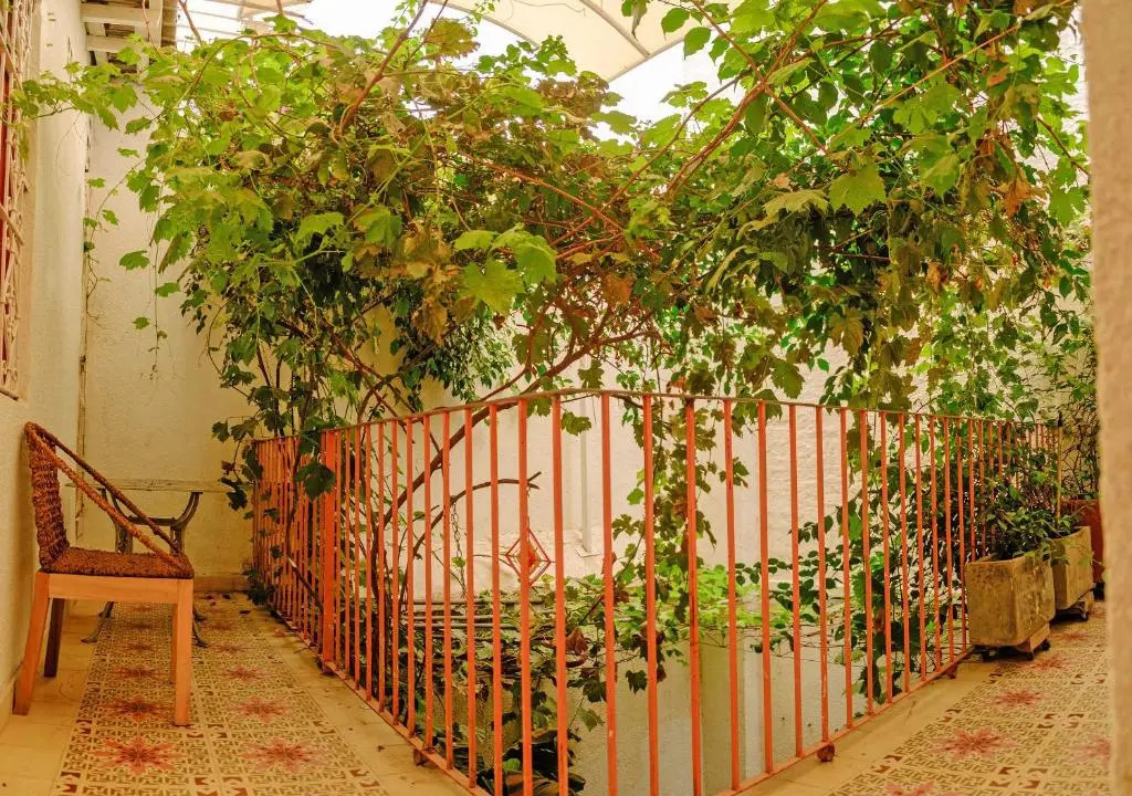 Casa Rosa - Alma Hotels