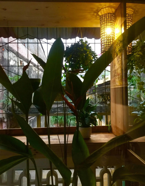 A Green Home