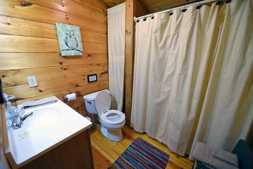 Knotty Pony Cabin- Blue Ridge