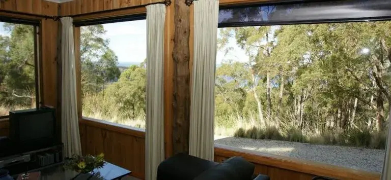 Bed in the Treetops Bed & Breakfast