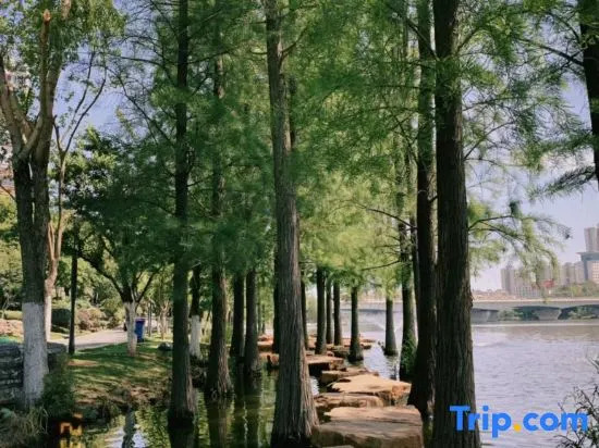Yueyang Tower District East Railway Station Jinjiang Metropolo Hotel