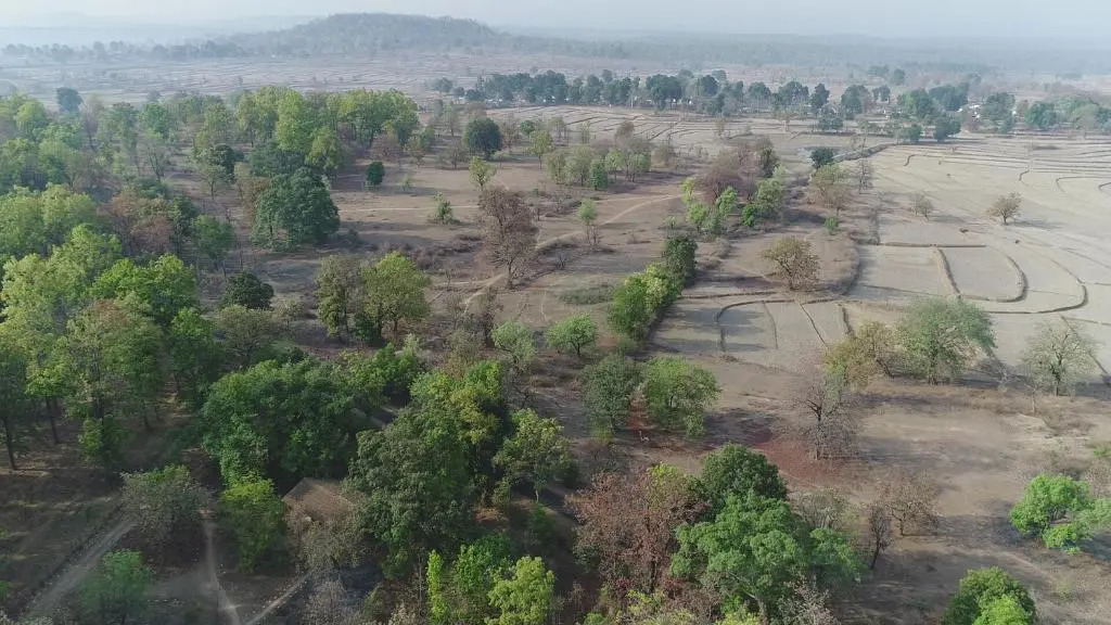 Kamp Kamouflage Kanha