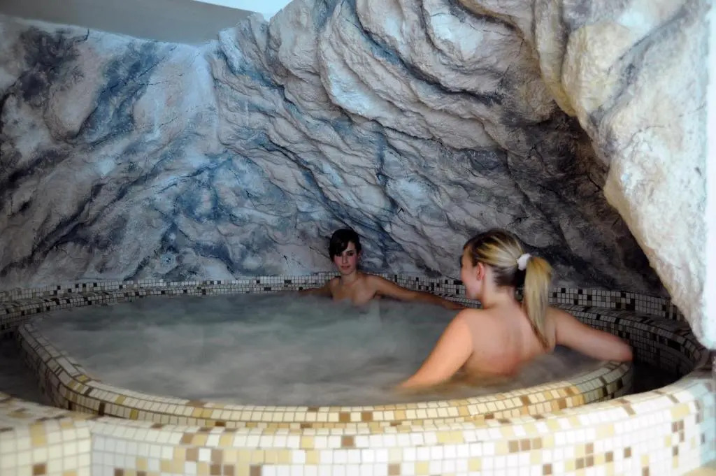 Hotel Alpine Mugon