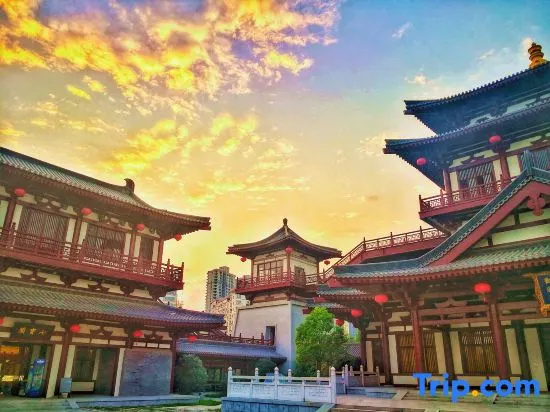 Shangyang Palace Tang Culture  Theme  Hotel