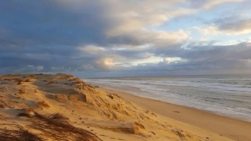 Le Lodge du Cap Ferret