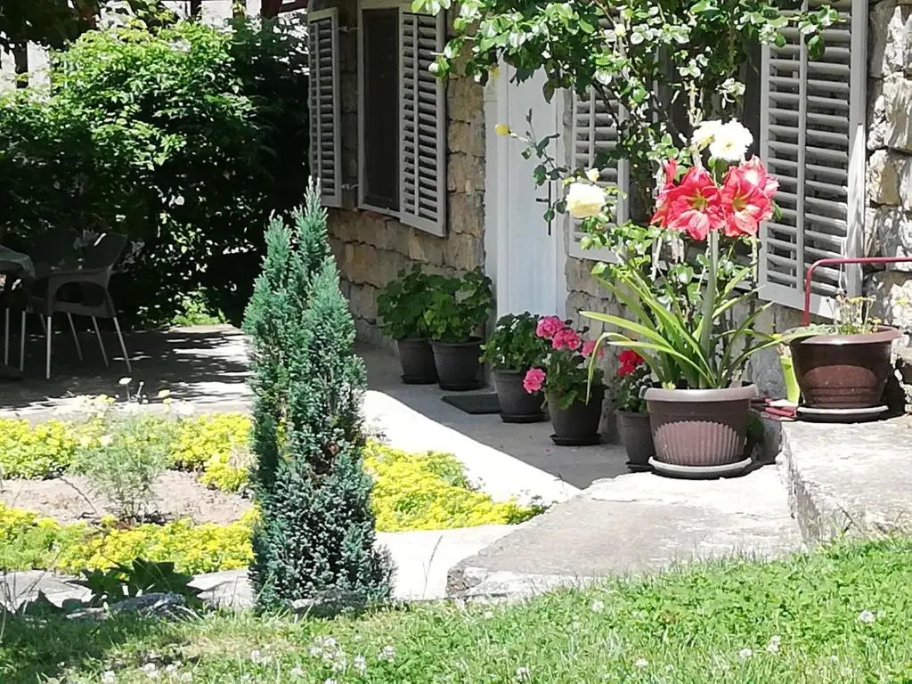 Apartment Jazz Golubac