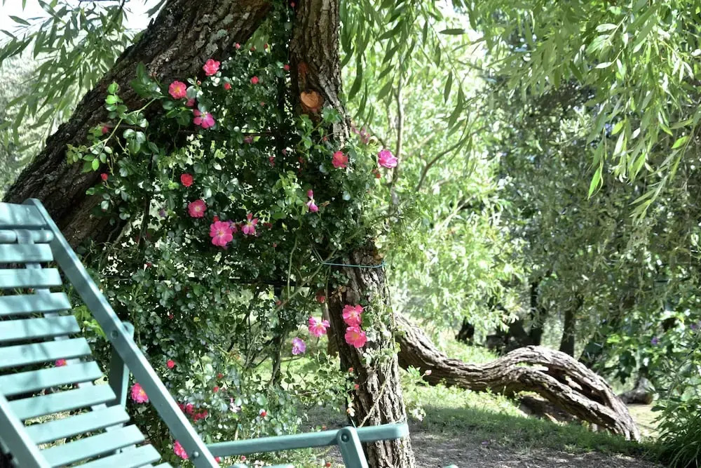 Palazzina del Chiasso B&B