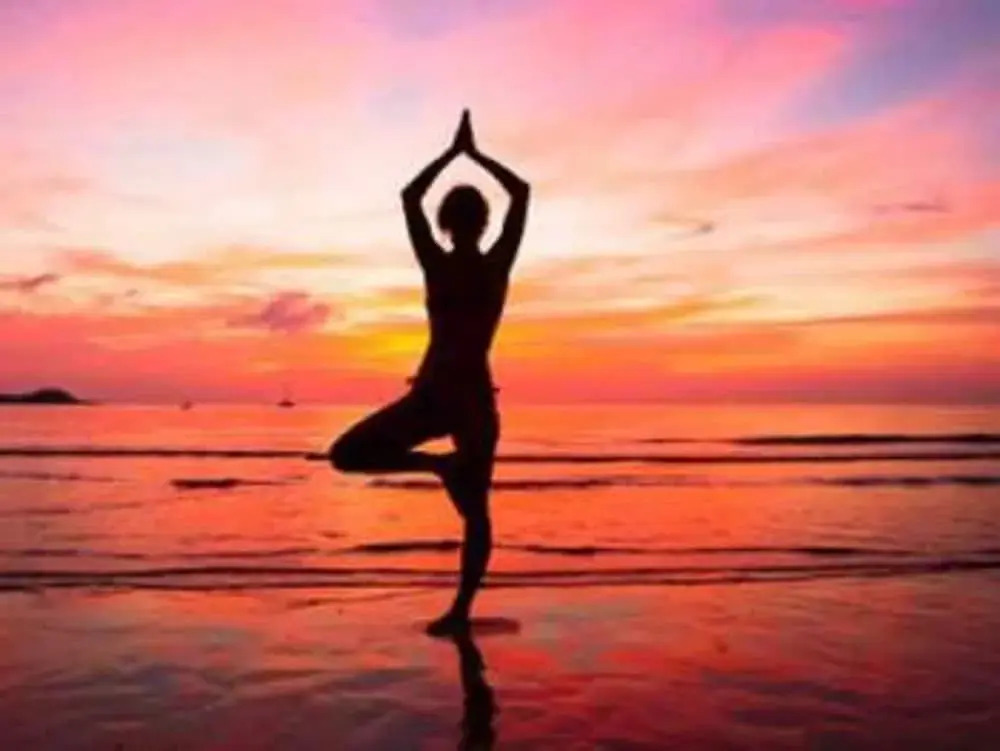 Lodge Natur Zen