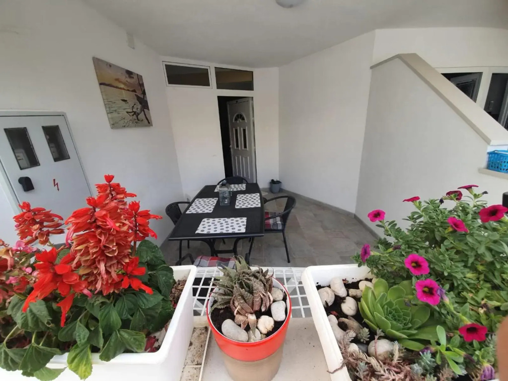 Apartments Luxury Oasis
