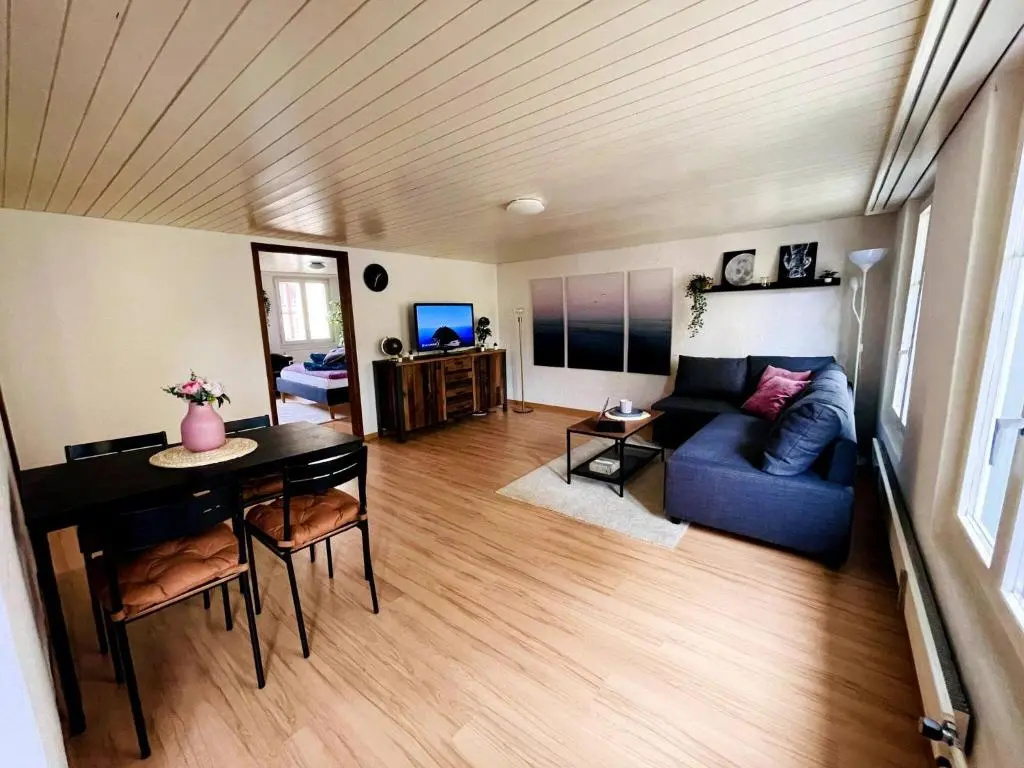 Newly Furnished Beautiful old Building Apartment in the Center With Apple TV