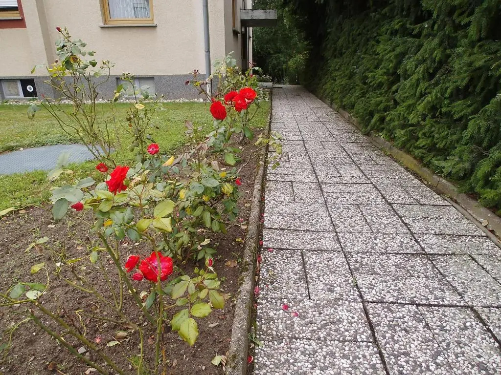 Ferienhaus Müller