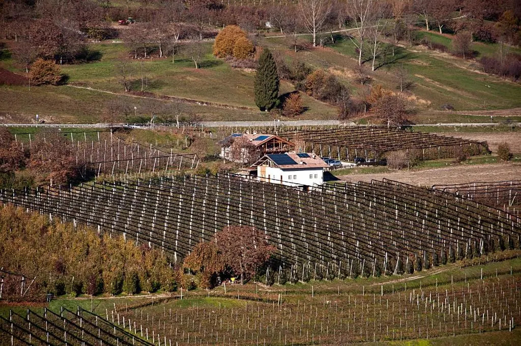 Agritur Maso Pra Cavai B&B