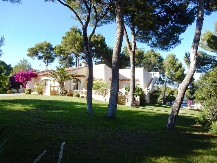 Villa Dream Son Jaumell