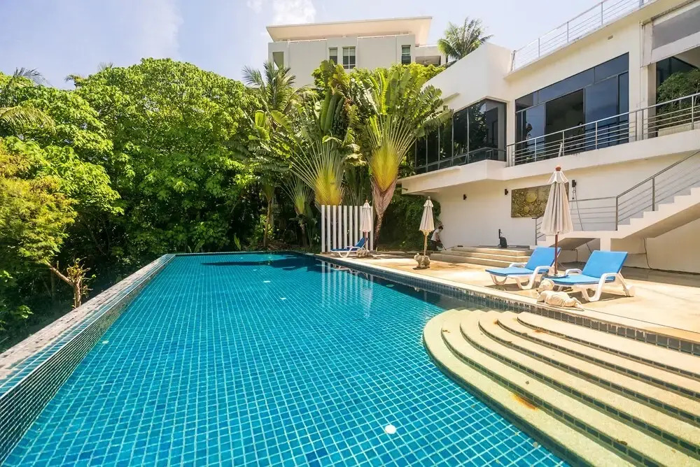 The Palm at Veloche Group by Lofty