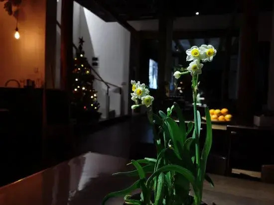 Tonglu Ru shi zhu homestay