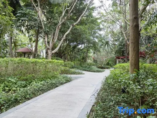 Hilili Oceanfront Haven