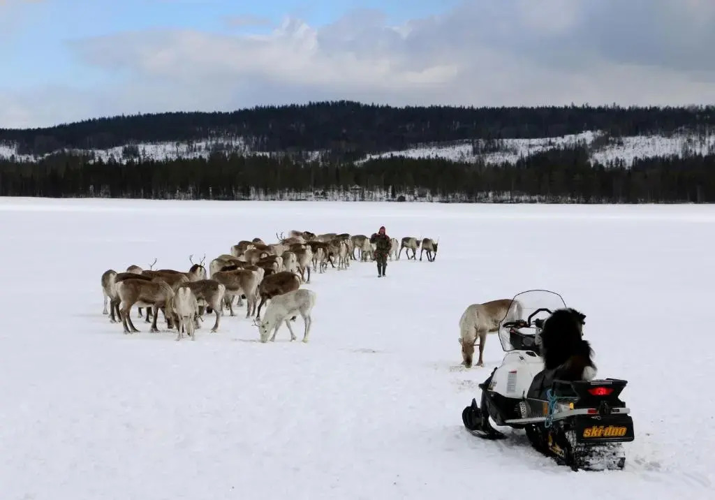 Reindeer Lake Resort