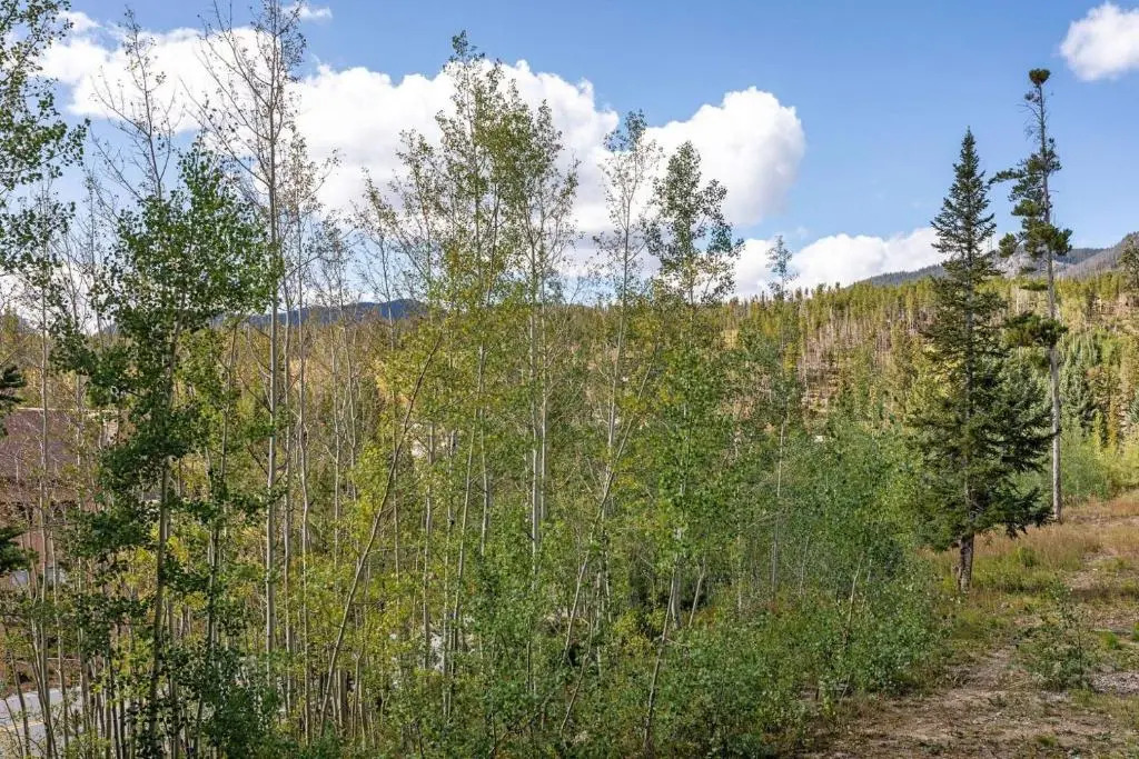 Gore Trail A1 - Wildernest
