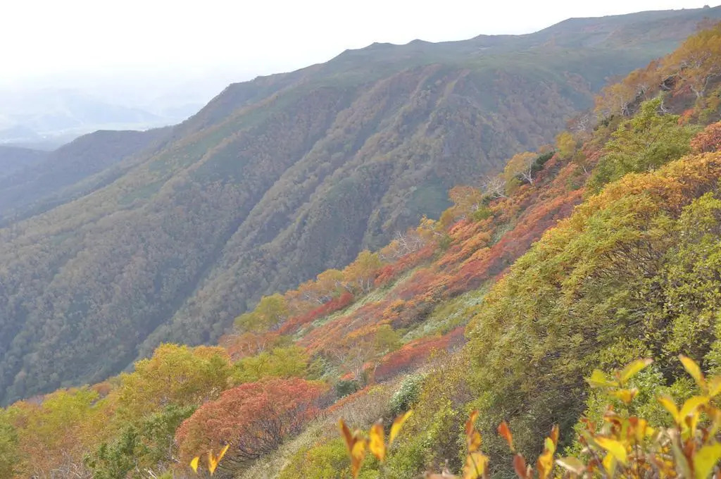 Yumoto Ginsenkaku