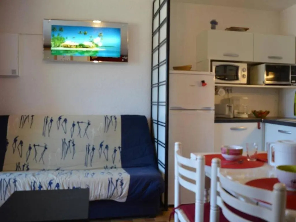 Appartement Saint-Cyprien, 1 pièce, 4 personnes - FR-1-225D-408