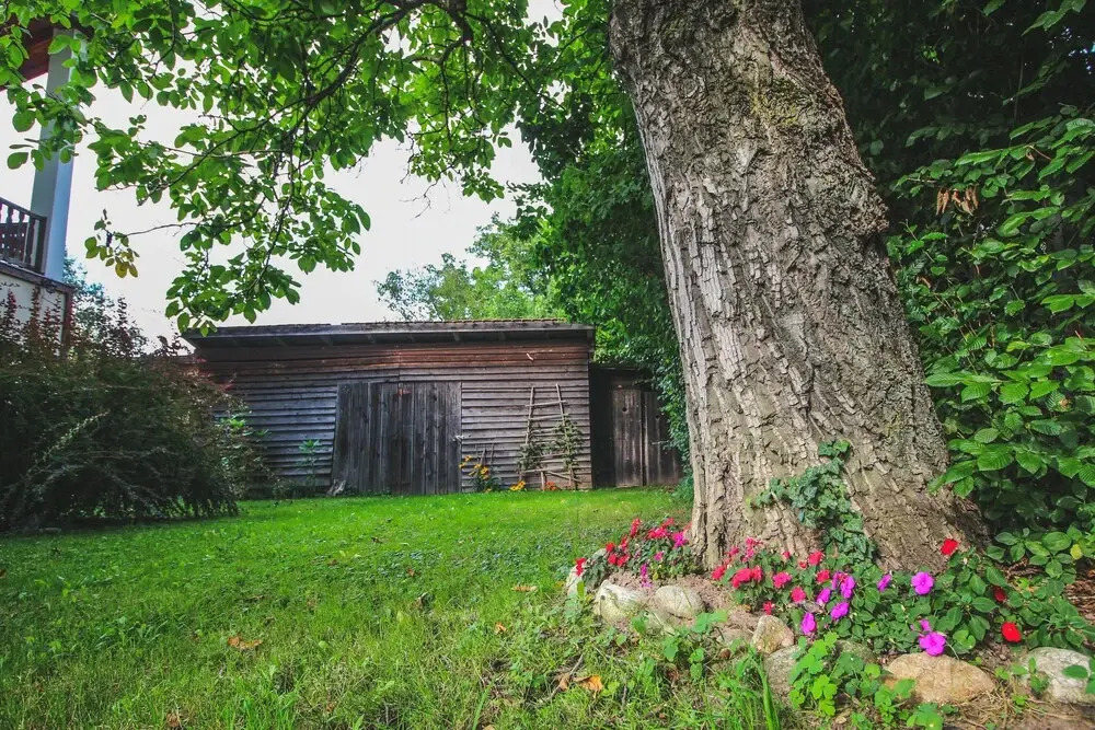 The Holiday House