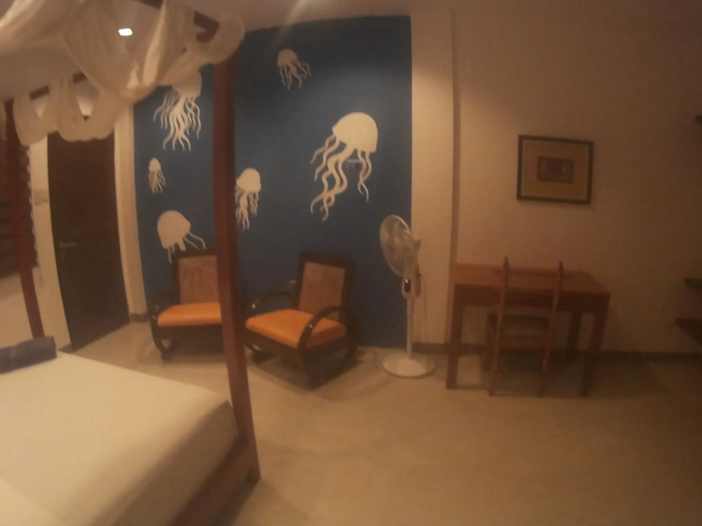 Vivo Siargao