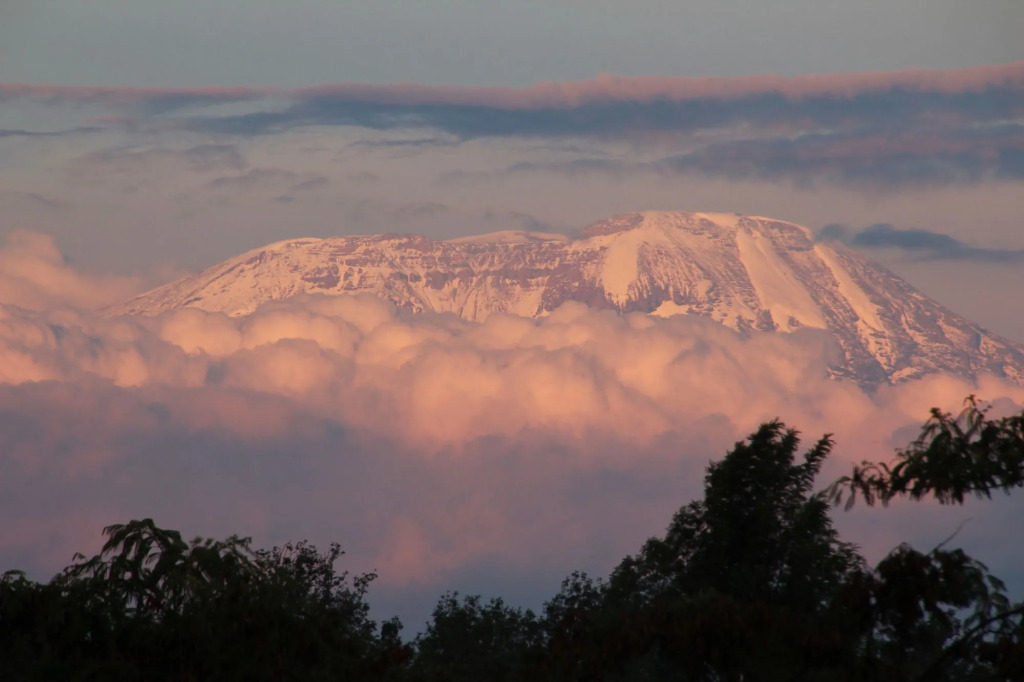 Ngare Sero Mountain Lodge