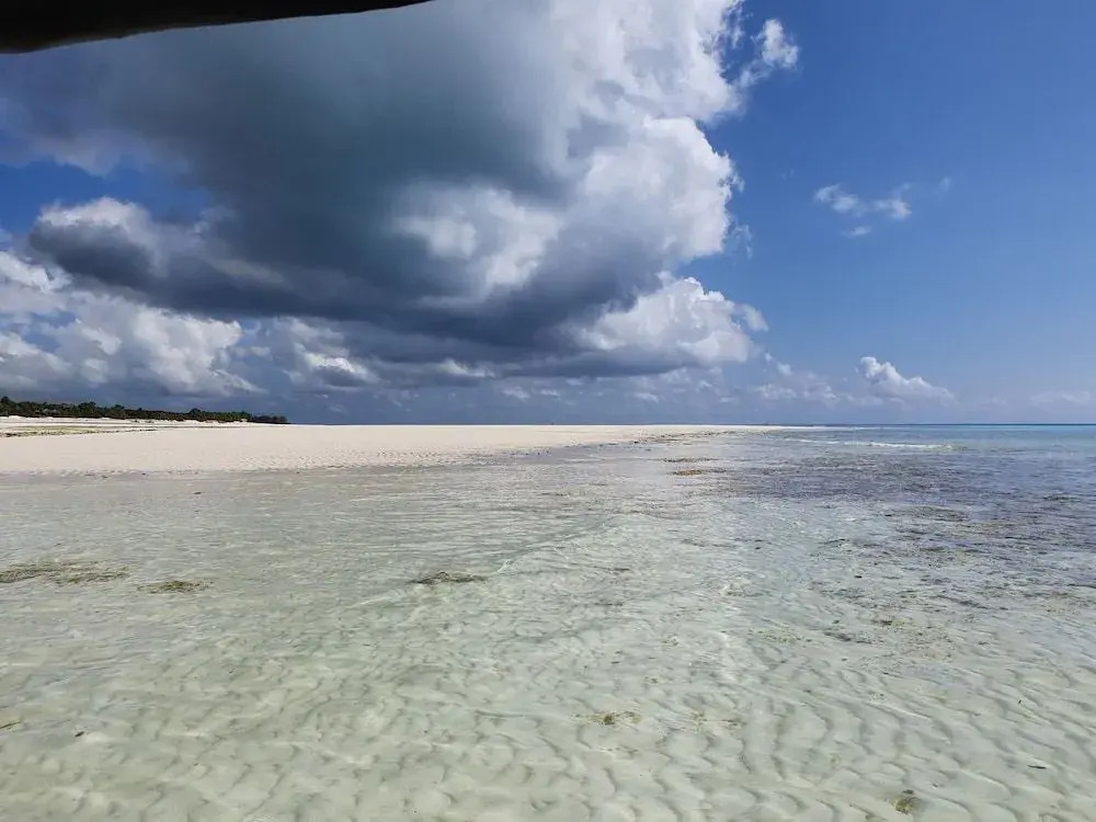 Отель La Base Beach