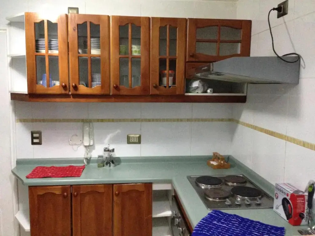 Mirador Villarrica Apartment