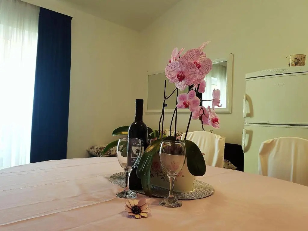 Apartments Anita - Punta Skala