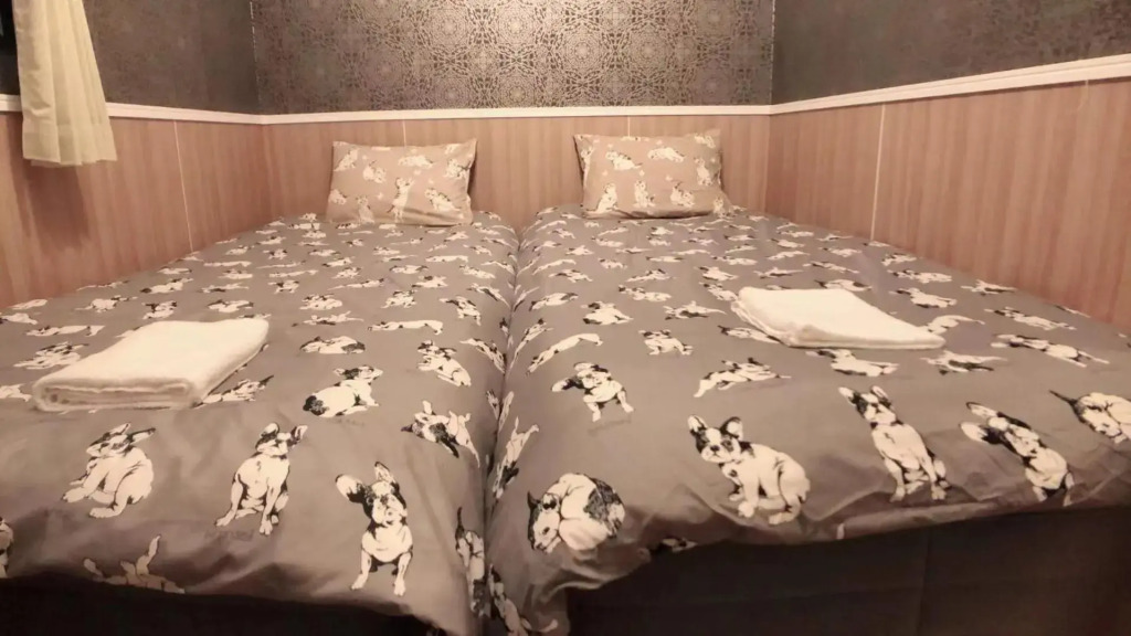 JINGHOUSE小岩 Direct to Shinjuku/airport/close to station