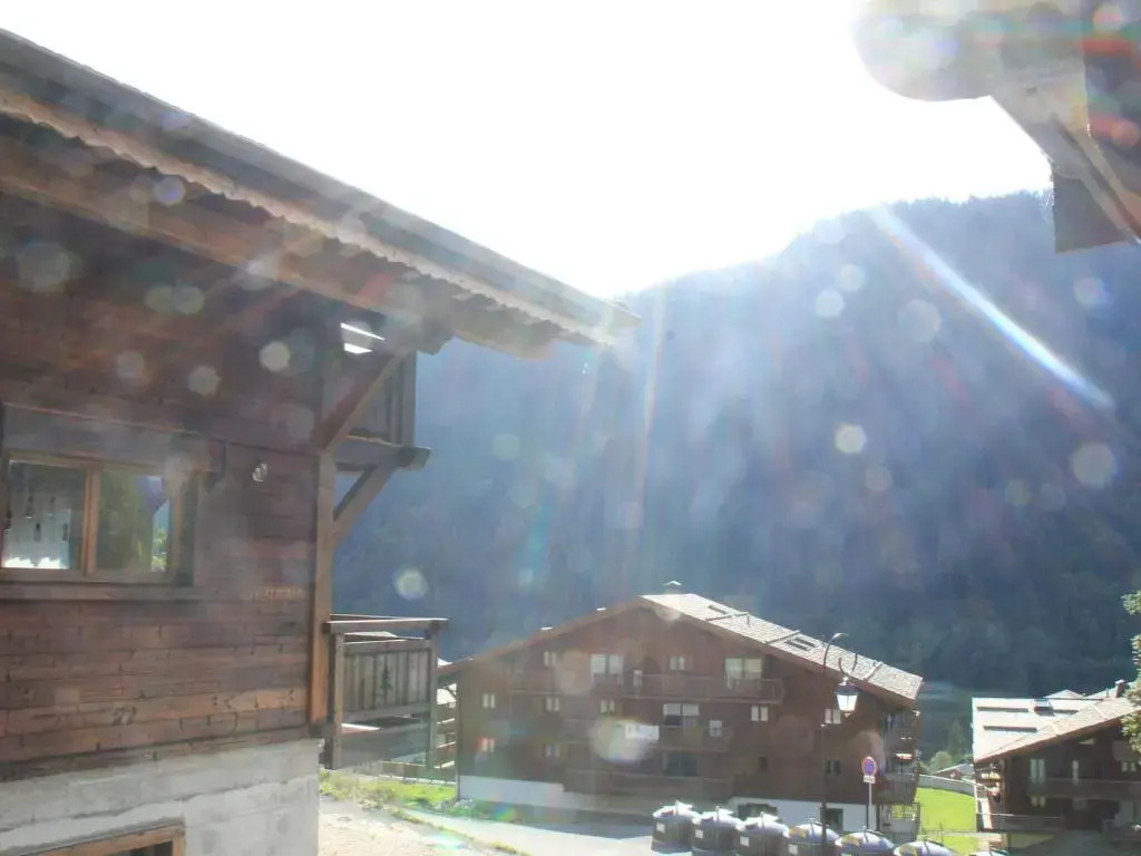 Appartement Châtel, 2 pièces, 4 personnes - FR-1-200-294