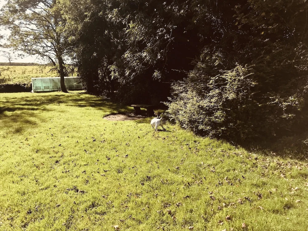 3 Bedroom Country Retreat - Dogs Welcome
