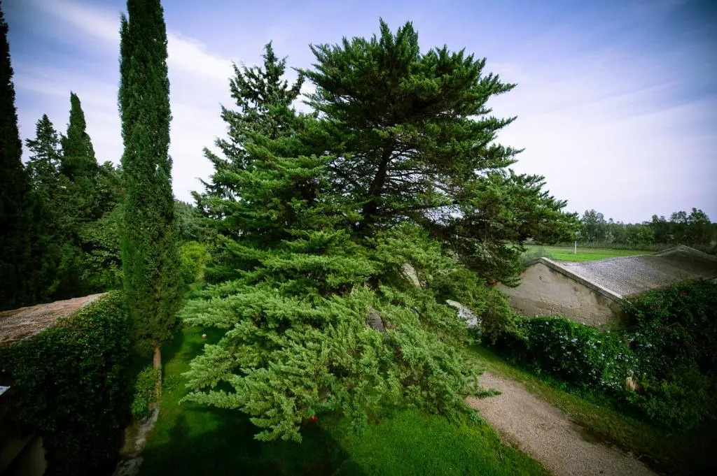 Masseria Perronello Country House