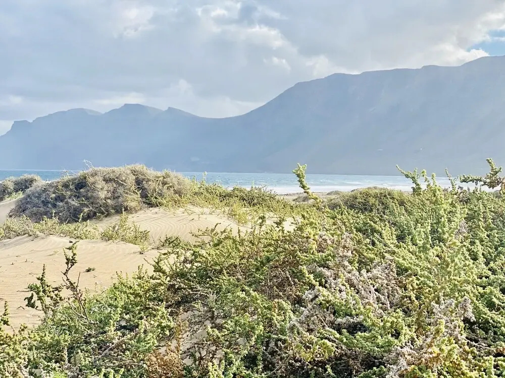 Canaryislandshost l Famara Surfer Apartment