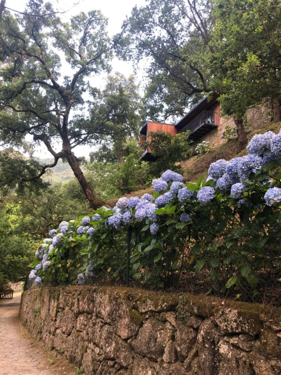 Sobreiro Valley