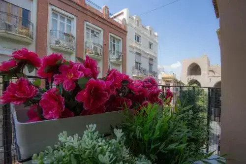 Blanquerias Apartments