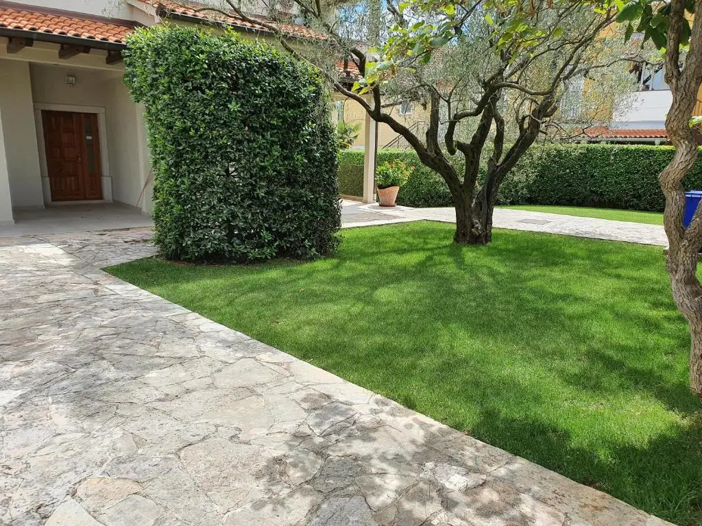 Apartments Cocaletto5
