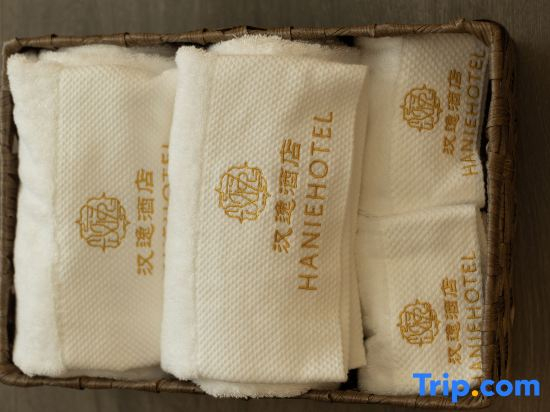 HANIE S HOTEL (Zhongxing Road, Kengzi, Pingshan District, Shenzhen)