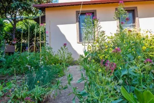 Little garden house